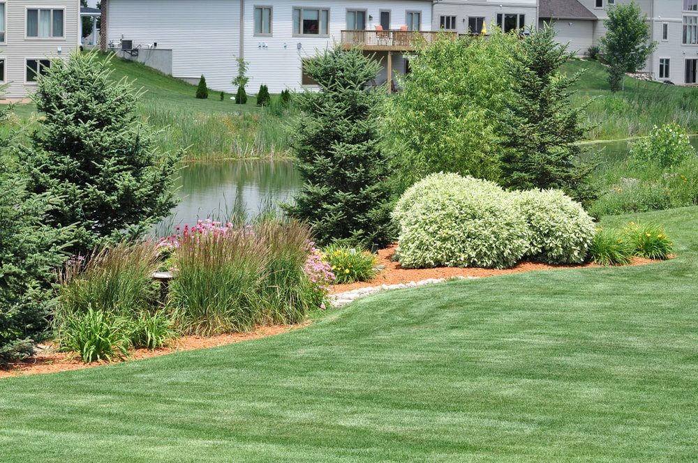 Late Summer Landscaping Ideas Pezza Landscape, Inc.