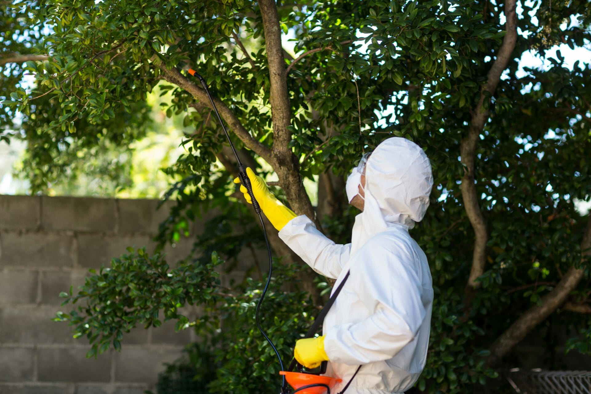 Managing Local Pests on your Chicago Property - Pezza Landscape, Inc.